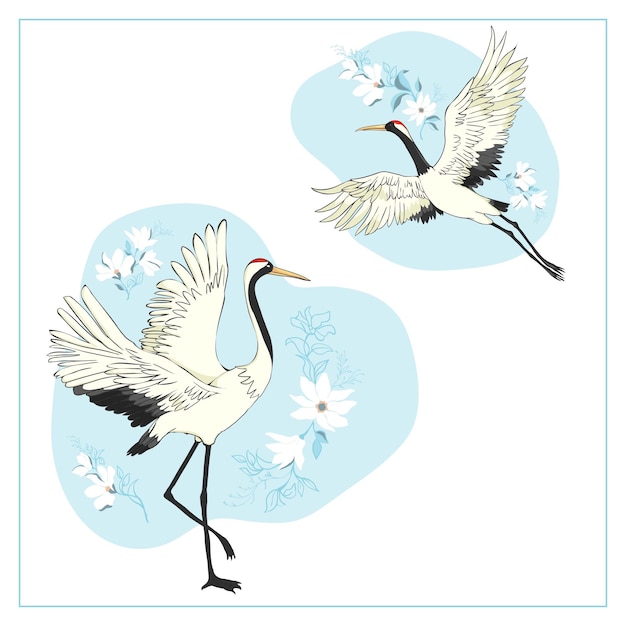 Aantal vogels Kraanooievaarsreiger Vector