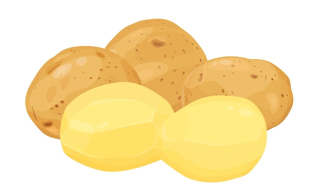Aardappelen vector illustratie. geïsoleerd op een witte achtergrond. Vectoreps 10.