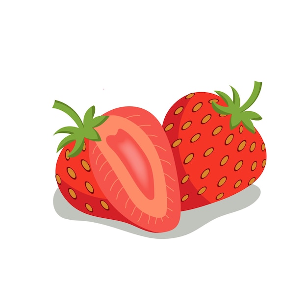 Aardbei Fruit en Gesneden Vector