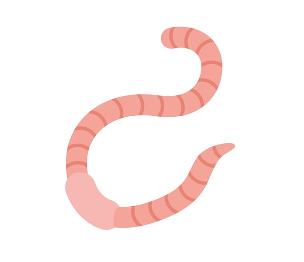 Aarde worm vector geïsoleerde pictogram. Emoji-illustratie. Regenworm vector emoticon