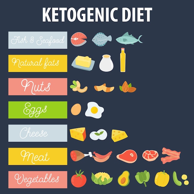 벡터 absctract 개념 ketogenic 다이어트 음식 벡터 일러스트 레이 션