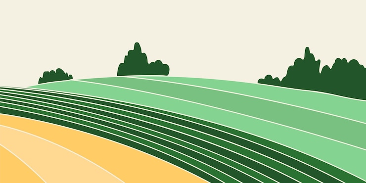 Vector abstract agriculture field or farm card banner vineyard valley pattern countryside landscape