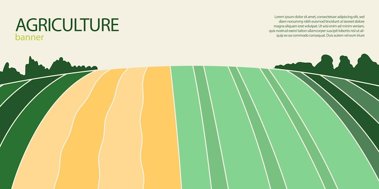 Vector abstract agriculture field or farm card banner with copy space countryside landscape eco