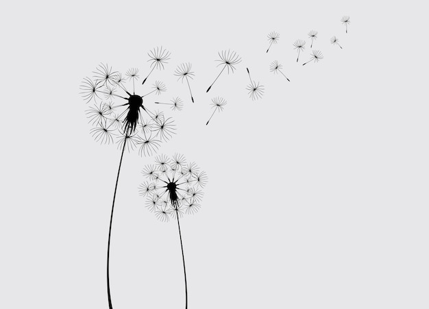 Vector abstract background of a dandelion for design the wind blows the seeds of a dandelion