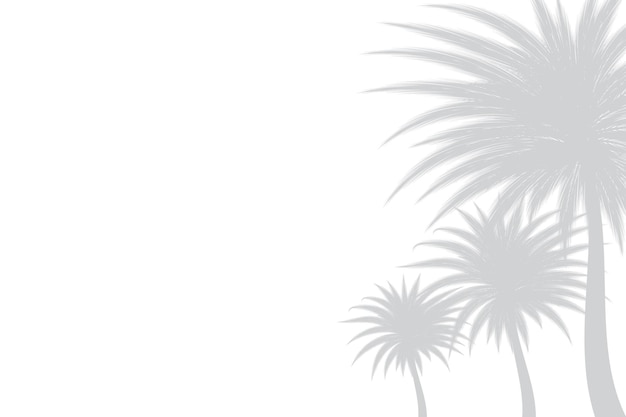 Vettore sfondo astratto di foglie di palma o foglie di cocco in cima ombra grigia del modello naturale
