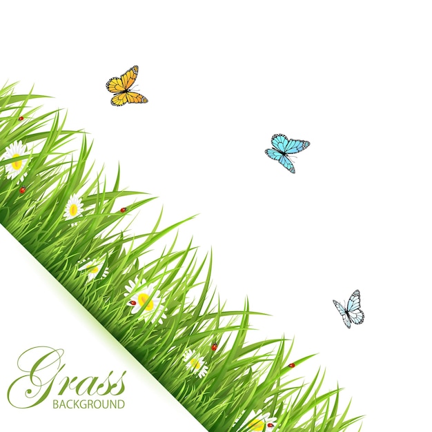 Abstract background with green grass flowers flying butterflies and ladybirds illustration