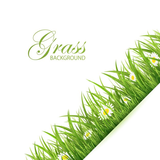 Abstract background with green grass and flowers illustration