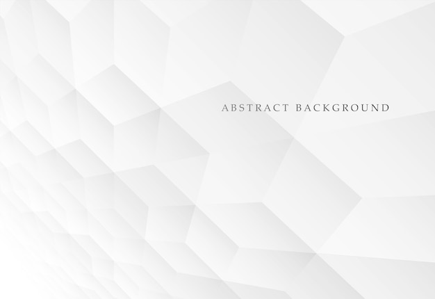 Vector abstract background with perspective white and gray geometric polygon shapes modern digital design