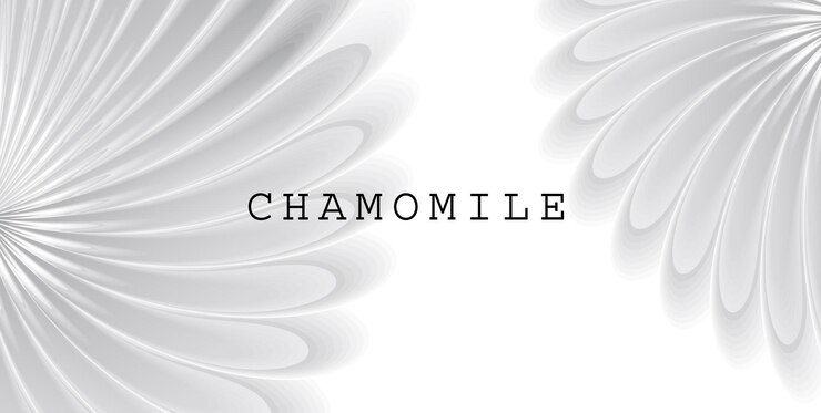 Vector abstract background with white flower ornament chamomile soft composition