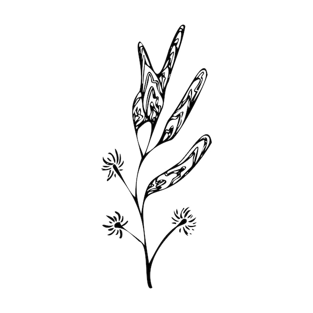 잔디 벡터의 추상 블레이드입니다. 작곡을 위한 장식용 꽃. 흑백 그래픽