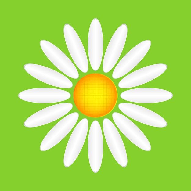 Abstract camomile on a green background. Flat daisy - vector illustration.