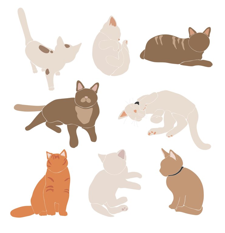 Vector 추상 고양이 세트, boho 귀여운 동물 절연, 사랑스러운 고양이 인쇄, 미니멀 그래픽 요소, 일러스트레이션