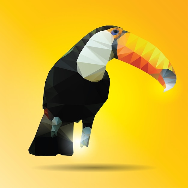 Vector abstract color hornbill of background