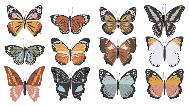 Набор абстрактных красочных бабочек