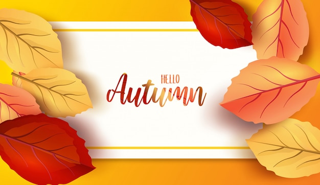 Abstract colorful leaves decorated  background for  Hello Autumn advertising header or banner design.  