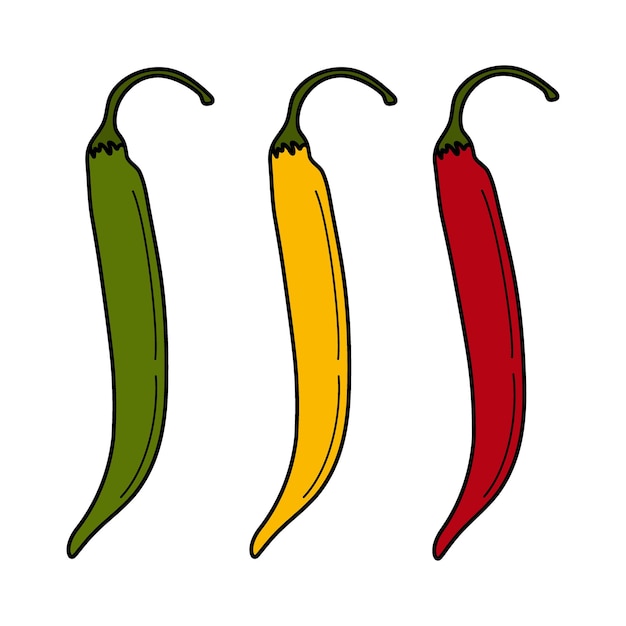 Abstract colorful set of chili peppers in trendy traditional mexican shades red yellow and green