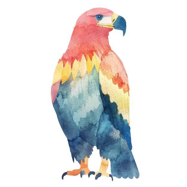 abstract colour silhouette of eagle vector illustration in watercolor style