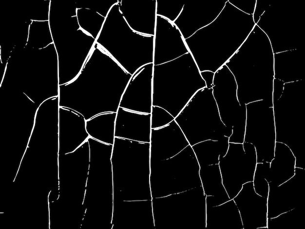 Vector abstract cracked monochrome texture