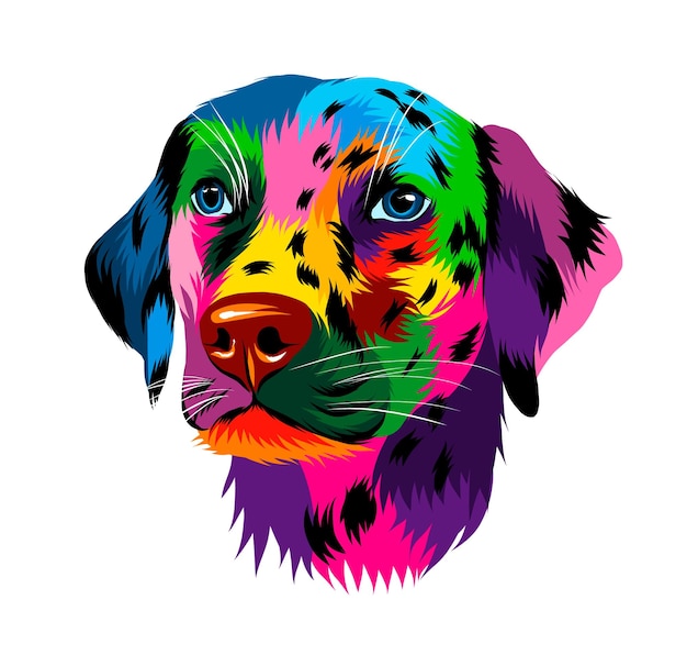 Abstract dalmatian dog head portrait from multicolored paints colored drawing