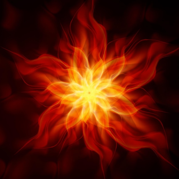 Vector abstract fire flames on a black background colorful illustration