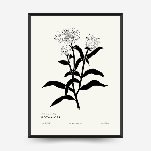 Abstract floral posters template. Modern Botanical trendy black style. Vintage flowers.