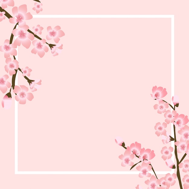 Abstract Floral Sakura Flower Japanese Natural Background  Illustration