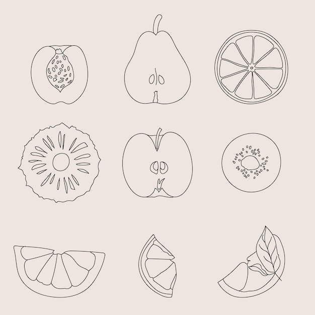 Vector abstract fruits line art design for coloring book