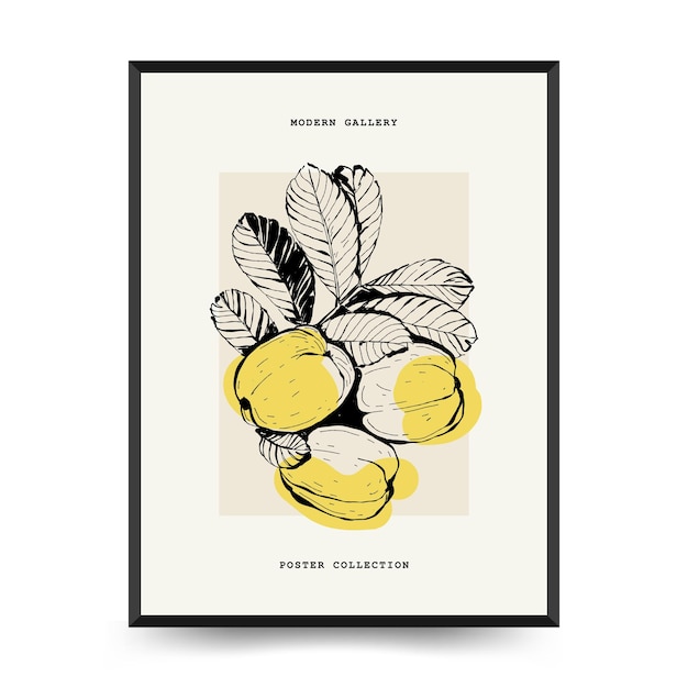 벡터 추상적인 과일 포스터 템플릿 현대적인 트렌디 매티스 미니멀 스타일 이국적인 건강한 음식