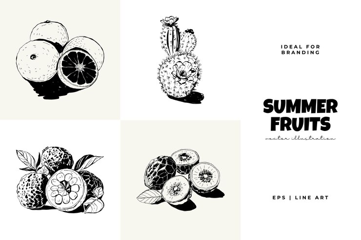 Vector abstract fruits vector black ink modern trendyi minimal style exotic healthy food hand drawn design for wallpaper wall decor print postcard cover template banner