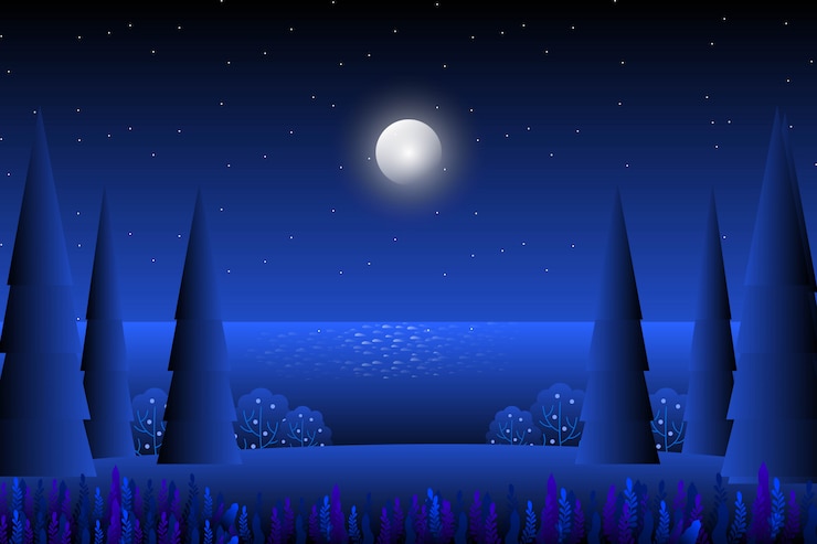 Вектор аннотация fullmoon и звездно-ночное небо пейзаж
