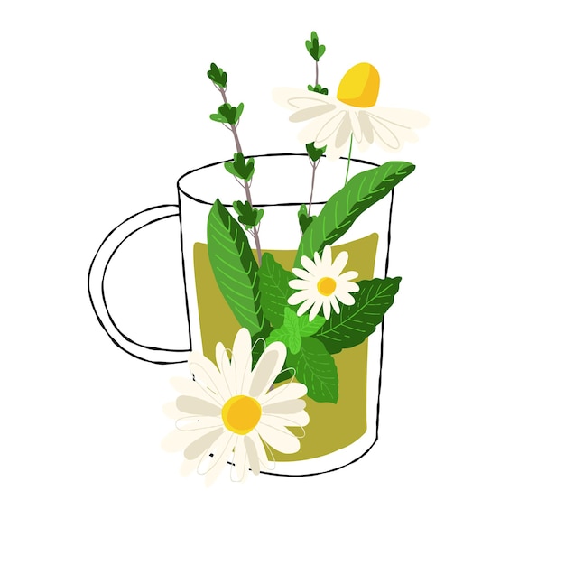 Abstract glass cup illustration with herbal chamomile tea isolated on white background