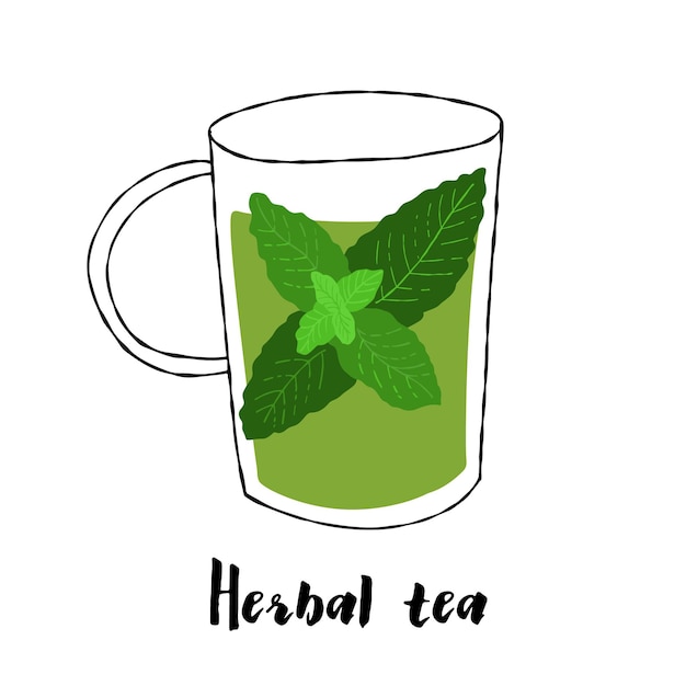 Vector abstract glass cup illustration with herbal mint tea on a white background