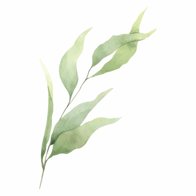 Abstract green branch with leaves Greenery leaf Hand drawn illustration