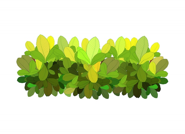 Vector abstract green garden bush