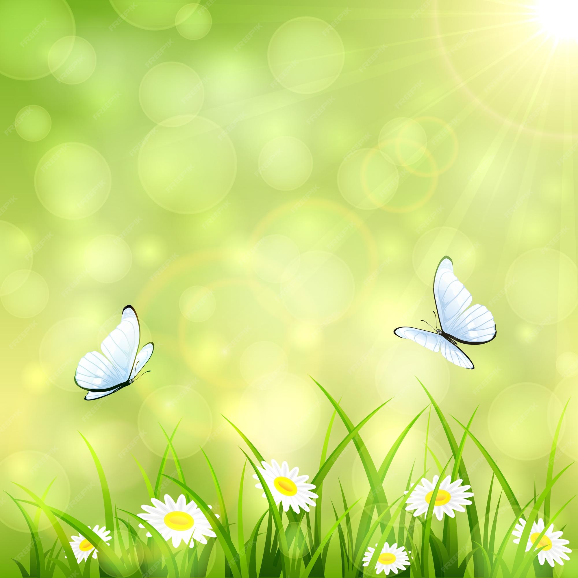 Premium Vector | Abstract green summer background with a butterfly flying  above the grass and flowers, bokeh light and sun beams, illustration.