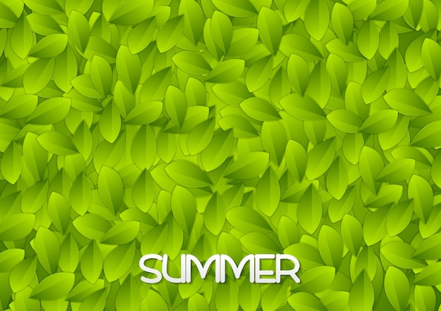 Vector abstract green summer leaves texture