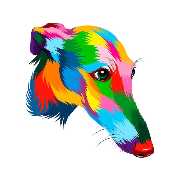 Vector abstract greyhound dog head portrait from multicolored paints puppy muzzle portrait dog muzzle