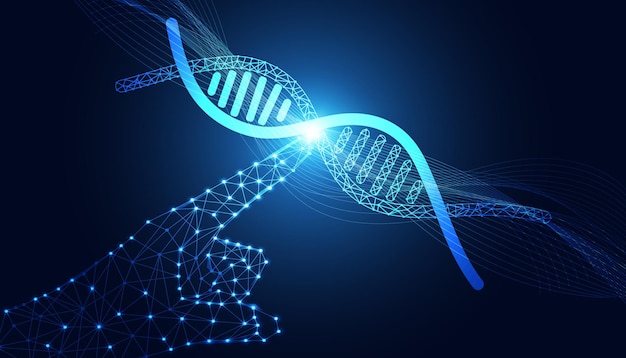 抽象的な手デジタル ワイヤ フレーム ポインティング dna 概念医学実験と遺伝子