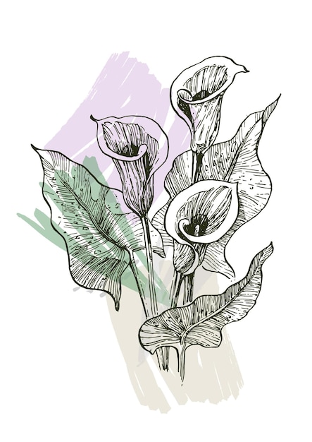 Vector abstract hand drawing flowers and geometric elements and strokes, leaves and flowers.