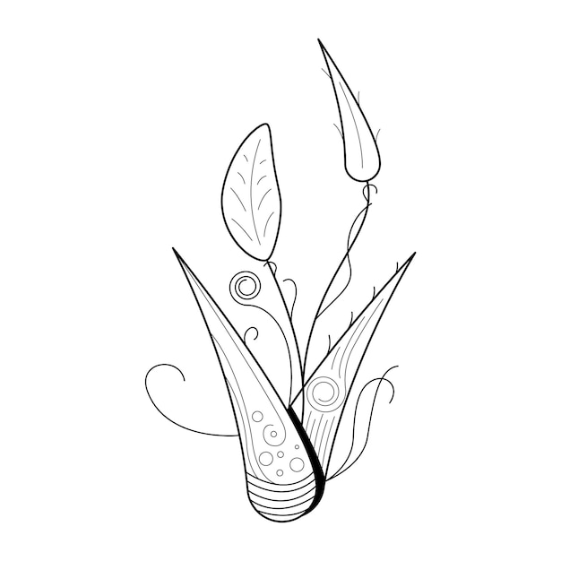 Abstract Hand Drawn Flower Plant Botanic Floral Nature Bloom Doodle Concept Vector Design Outline