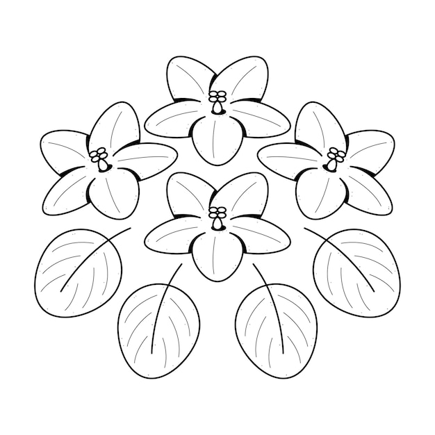 Abstract Hand Getrokken Bloem Plant Botanisch Bloemen Natuur Bloom Doodle Concept Vector Design Outline