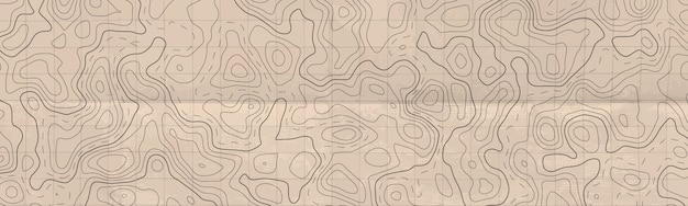 Vector abstract horizontal long banner with topographic line map.