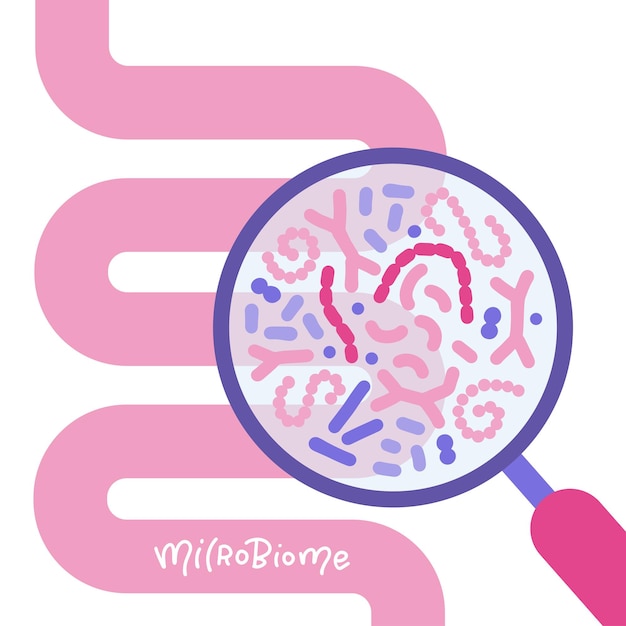 Intestino umano astratto e concetto di microbioma intestinale con lente d'ingrandimento sindrome dell'intestino permeabile sibo e candida gr