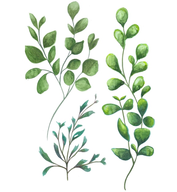초록 잎 요소 녹색 수채화 배경 그림 고해상도 무료 사진