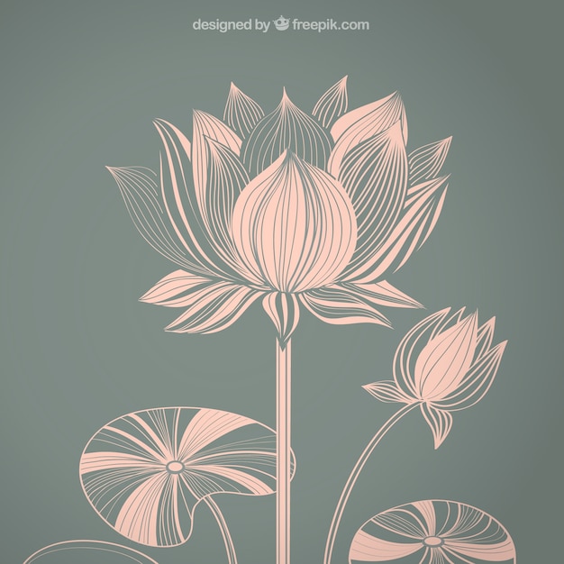 Abstract lotus flower