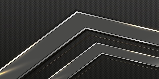 Vector abstract luxury black and silver color background banner