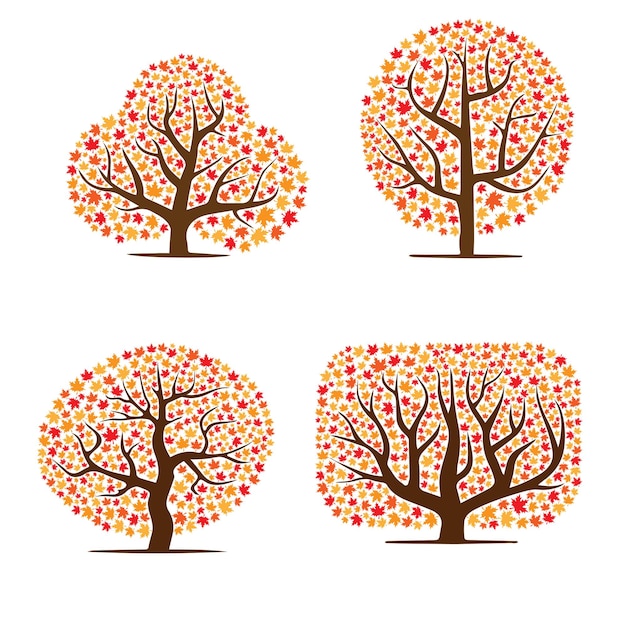 抽象的なカエデの葉オレンジの木のシルエット セット