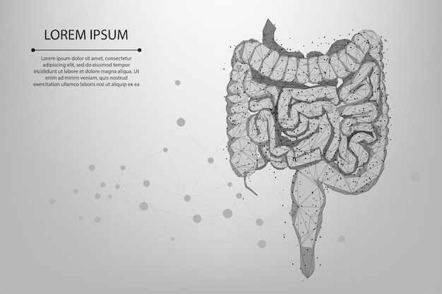 Абстрактная прямая и точечная многоугольная кишка. Низкополигональная каркас векторные иллюстрации