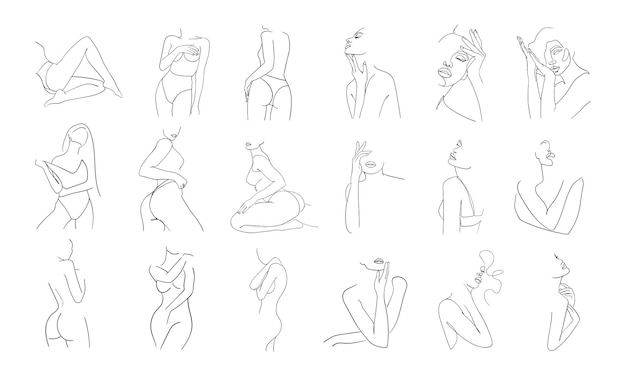 Abstract minimalistic female bodies Modern single line art Vector illustration