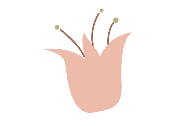 Vector abstract minimalistic flower drawn in a handdrawn style plant in trending pastel natural colors